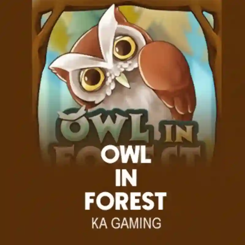 Owl In Forest